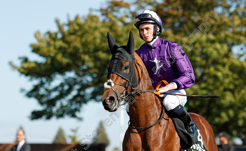 Hello-You-0002 
 HELLO YOU (Rossa Ryan) winner of The Unibet Rockfel Stakes
Newmarket 24 Sep 2021 - Pic Steven Cargill / Racingfotos.com