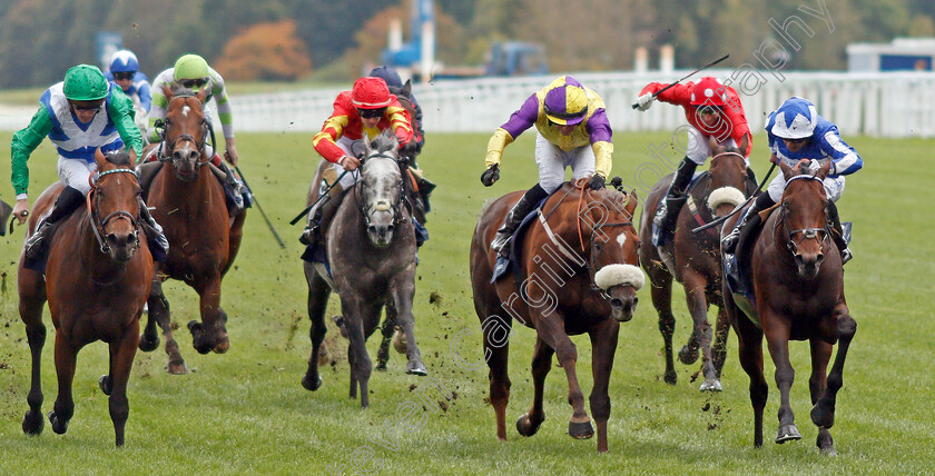 Donjuan-Triumphant-0002 
 DONJUAN TRIUMPHANT (right, Silvestre De Sousa) beats BRANDO (centre) in The Qipco British Champions Sprint Stakes
Ascot 19 Oct 2019 - Pic Steven Cargill / Racingfotos.com