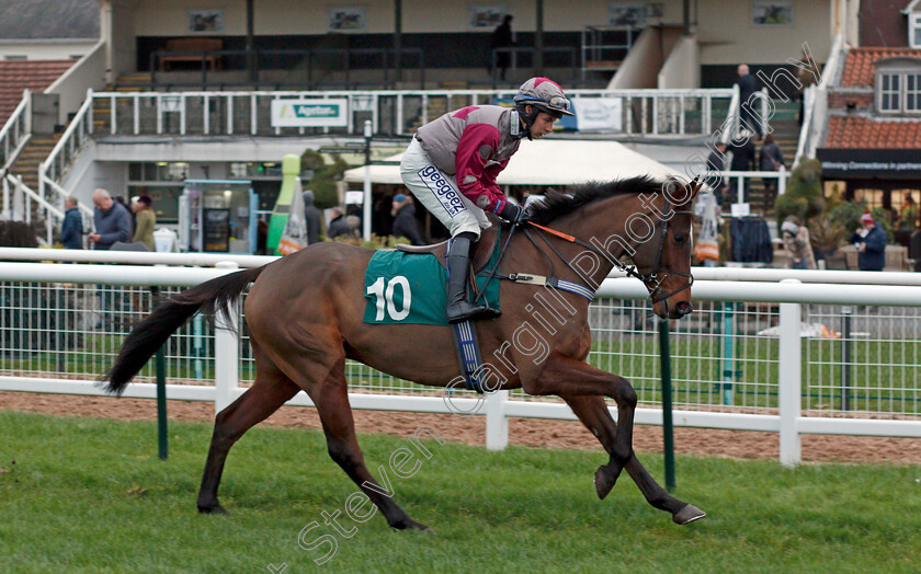 Leissieres-Express-0002 
 LEISSIERES EXPRESS (Rex Dingle)
Warwick 9 Dec 2021 - Pic Steven Cargill / Racingfotos.com