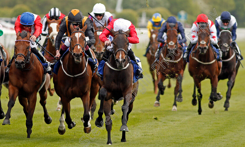 Clubbable-0001 
 CLUBBABLE (centre, Paul Hanagan) beats CAVATINA (left) and EXCELLENT TIMES (2nd left) The Conundrum HR Consulting Handicap York 16 May 2018 - Pic Steven Cargill / Racingfotos.com