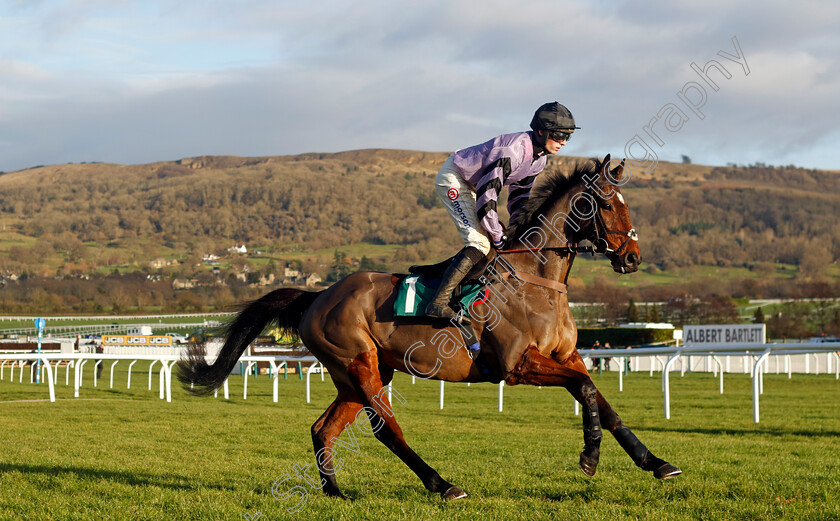 Stage-Star-0001 
 STAGE STAR (Harry Cobden)
Cheltenham 14 Dec 2024 - Pic Steven Cargill / Racingfotos.com