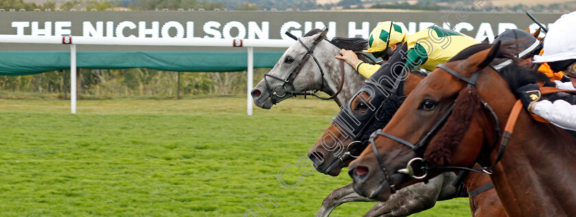 Lord-Riddiford-0007 
 LORD RIDDIFORD (farside, Jason Hart) wins The Nicholson Gin Handicap
Goodwood 26 Jul 2022 - Pic Steven Cargill / Racingfotos.com