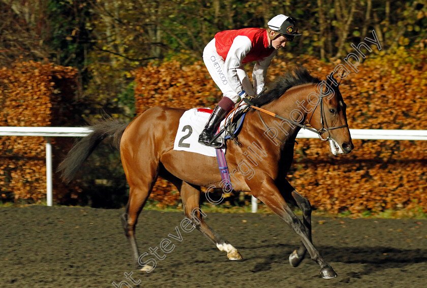 Aulis-0001 
 AULIS (Rob Hornby)
Kempton 6 Dec 2023 - Pic Steven Cargill / Racingfotos.com