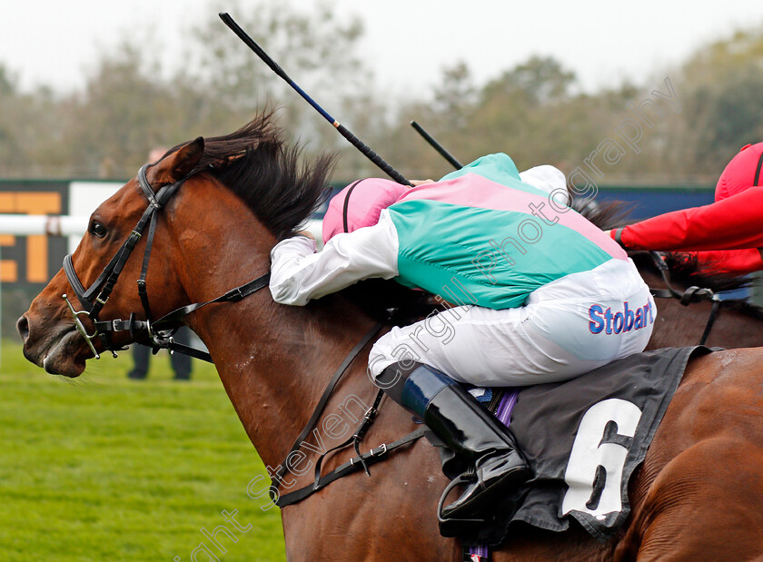 Monarchs-Glen-0007 
 MONARCHS GLEN (Robert Tart) wins The EBF Stallions Foundation Stakes Goodwood 27 Sep 2017 - Pic Steven Cargill / Racingfotos.com