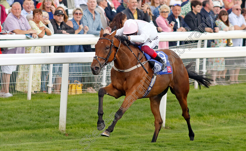 Absurde-0007 
 ABSURDE (Frankie Dettori) wins The Sky Bet Ebor
York 26 Aug 2023 - Pic Steven Cargill / Racingfotos.com