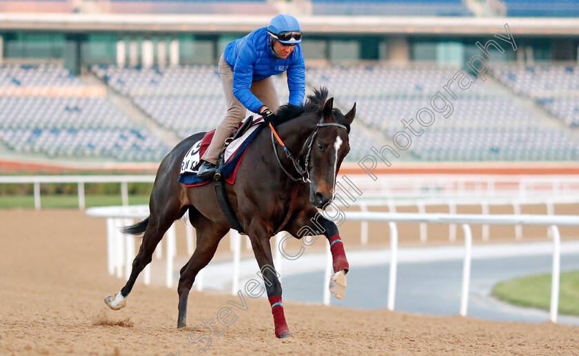 Raiku-0001 
 RAIKU training at Meydan, Dubai
2 Feb 2023 - Pic Steven Cargill / Racingfotos.com