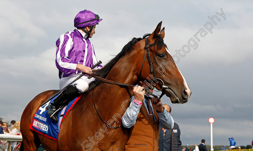 Continuous-0015 
 CONTINUOUS (Ryan Moore) winner of The Betfred St Leger Stakes
Doncaster 16 Sep 2023 - Pic Steven Cargill / Racingfotos.com