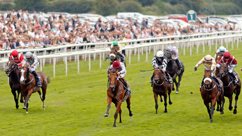 Lusail-0001 
 LUSAIL (Pat Dobbs) wins The Al Basti Equiworld Gimcrack Stakes
York 20 Aug 2021 - Pic Steven Cargill / Racingfotos.com