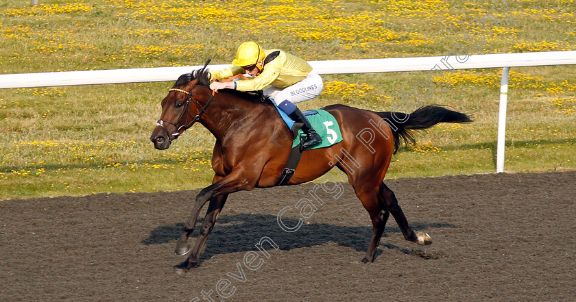 Motawaj-0002 
 MOTAWAJ (David Egan) wins The 32Red Casino Handicap Div1
Kempton 10 Jul 2019 - Pic Steven Cargill / Racingfotos.com