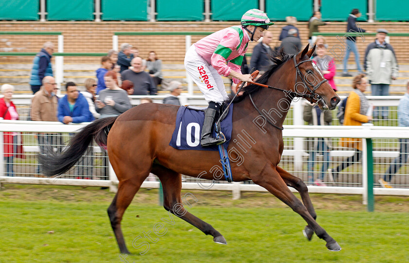 Lady-Of-Shalott-0001 
 LADY OF SHALOTT (Jamie Spencer) winner of The Breeders Backing Racing EBF Fillies Novice Stakes Div2 Yarmouth 24 Oct 2017 - Pic Steven Cargill / Racingfotos.com