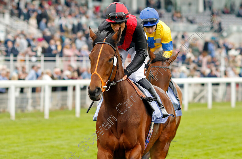 Aristia-0001 
 ARISTIA (Sean Levey)
York 18 May 2023 - Pic Steven Cargill / Racingfotos.com