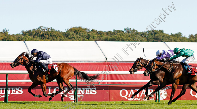 Mount-Kilimanjaro-0002 
 MOUNT KILIMANJARO (Ryan Moore) wins The Arqana Series Haras de Bouquetot Criterium d'Automne
Longchamp 5 Oct 2024 - Pic Steven Cargill / Racingfotos.com