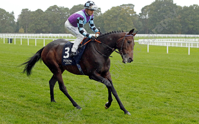 El-Habeeb-0007 
 EL HABEEB (Andrea Atzeni) winner of The Peroni Nastro Azzurro Noel Murless Stakes
Ascot 30 Sep 2022 - Pic Steven Cargill / Racingfotos.com