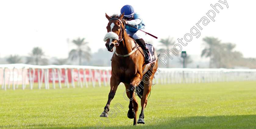 Saheel-0002 
 SAHEEL (Abdulla Faisal) wins The Batelco Cup
Sakhir Racecourse, Bahrain 19 Nov 2021 - Pic Steven Cargill / Racingfotos.co