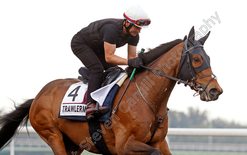 Trawlerman-0001 
 TRAWLERMAN training for the Dubai Gold Cup
Meydan, Dubai, 21 Mar 2023 - Pic Steven Cargill / Racingfotos.com