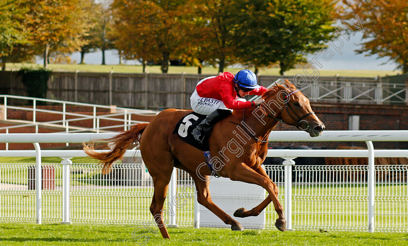 Conservatoire-0003 
 CONSERVATOIRE (Tom Marquand) wins The Download The tote Placepot App Irish EBF Nursery
Goodwood 11 Oct 2020 - Pic Steven Cargill / Racingfotos.com