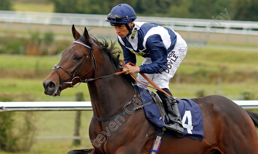 Forbidden-Land-0002 
 FORBIDDEN LAND (Sean Levey)
Lingfield 3 Oct 2019 - Pic Steven Cargill / Racingfotos.com