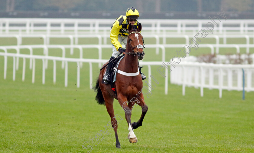 Lulamba-0008 
 LULAMBA (Nico de Boinville) winner of the Betmgm Juvenile Hurdle
Ascot 18 Jan 2025 - Pic Steven Cargill / Racingfotos.com