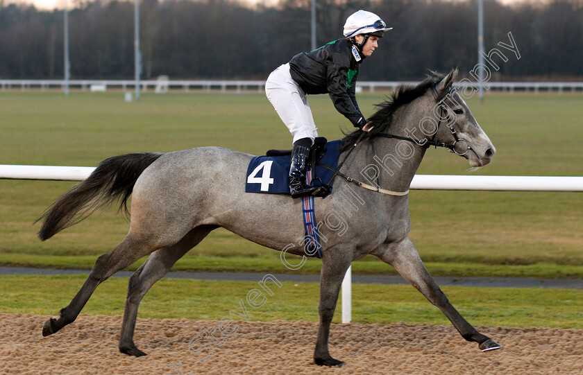 Where-Next-Jo-0001 
 WHERE NEXT JO (Laura Pearson)
Wolverhampton 20 Jan 2020 - Pic Steven Cargill / Racingfotos.com