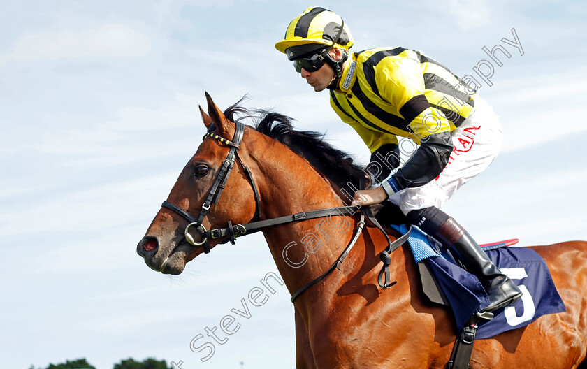 Obelix-0002 
 OBELIX (Robert Havlin)
Yarmouth 14 Sep 2022 - Pic Steven Cargill / Racingfotos.com