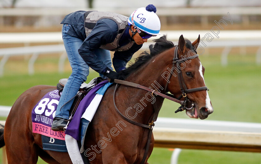 Free-Look-0002 
 FREE LOOK training for the Breeders' Cup Juvenile Fillies Turf
Keeneland, USA 31 Oct 2022 - Pic Steven Cargill / Racingfotos.com