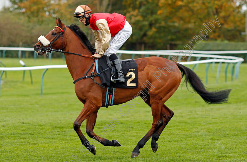 C est-No-Mour-0001 
 C'EST NO MOUR (George Wood)
Nottingham 28 Oct 2020 - Pic Steven Cargill / Racingfotos.com