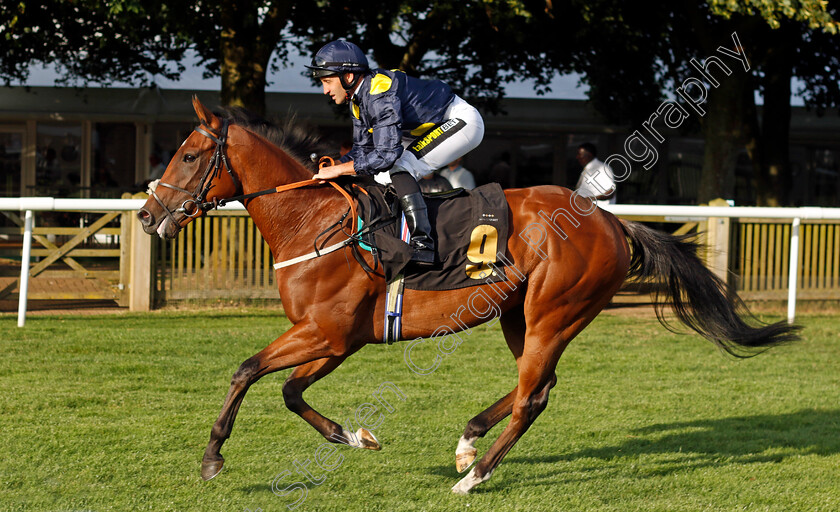 Night-Storm-0001 
 NIGHT STORM (Neil Callan)
Newmarket 9 Aug 2024 - Pic Steven Cargill / Racingfotos.com