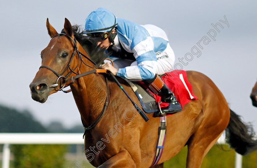 Amiloc-0002 
 AMILOC (Rossa Ryan) wins The RacingTV EBF Restricted Novice Stakes
Kempton 6 Sep 2024 - Pic Steven Cargill / Racingfotos.com