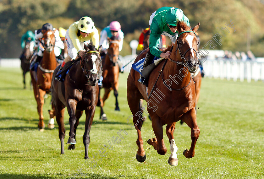 Senza-Limiti-0006 
 SENZA LIMITI (James Doyle) wins The Radcliffe & Co EBF Novice Stakes Div1
Salisbury 3 Oct 2018 - Pic Steven Cargill / Racingfotos.com