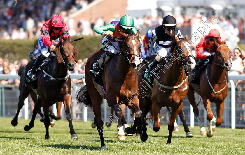 Don-Armado-0003 
 DON ARMADO (Harry Bentley) wins The Unibet Nursery
Goodwood 3 Aug 2018 - Pic Steven Cargill / Racingfotos.com