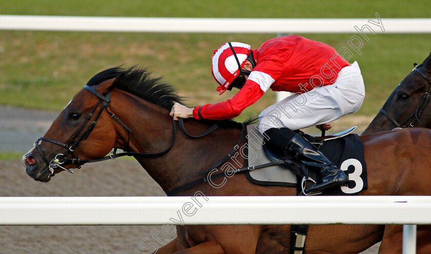 Final-Rendezvous-0004 
 FINAL RENDEZVOUS (Callum Shepherd)
Chelmsford 3 Jun 2021 - Pic Steven Cargill / Racingfotos.com