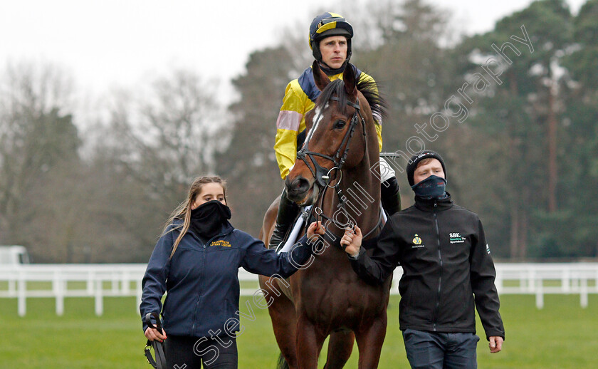 Amoola-Gold-0002 
 AMOOLA GOLD (Harry Skelton)
Ascot 22 Jan 2022 - Pic Steven Cargill / Racingfotos.com