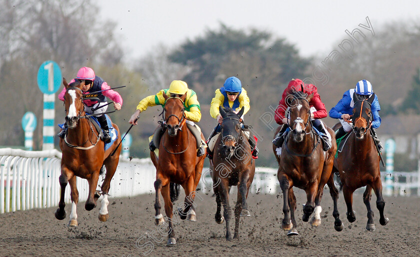 Kings-Shield-0002 
 KINGS SHIELD (2nd right, Oisin Murphy) beats ONE COOL DADDY (2nd left), LAWN RANGER (left), JELLMOOD (centre) and RAJAAM (right) in The Betfred Like Us On Facebook Stakes Kempton 7 Apr 2018 - Pic Steven Cargill / Racingfotos.com