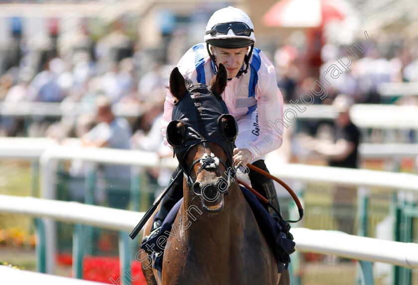 Glorious-Player-0001 
 GLORIOUS PLAYER (Richard Kingscote)
Doncaster 29 Jun 2018 - Pic Steven Cargill / Racingfotos.com