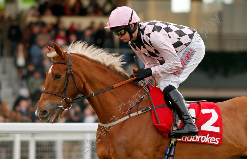 Secret-Squirrel-0003 
 SECRET SQUIRREL (David Bass)
Ascot 21 Dec 2024 - Pic Steven Cargill / Racingfotos.com