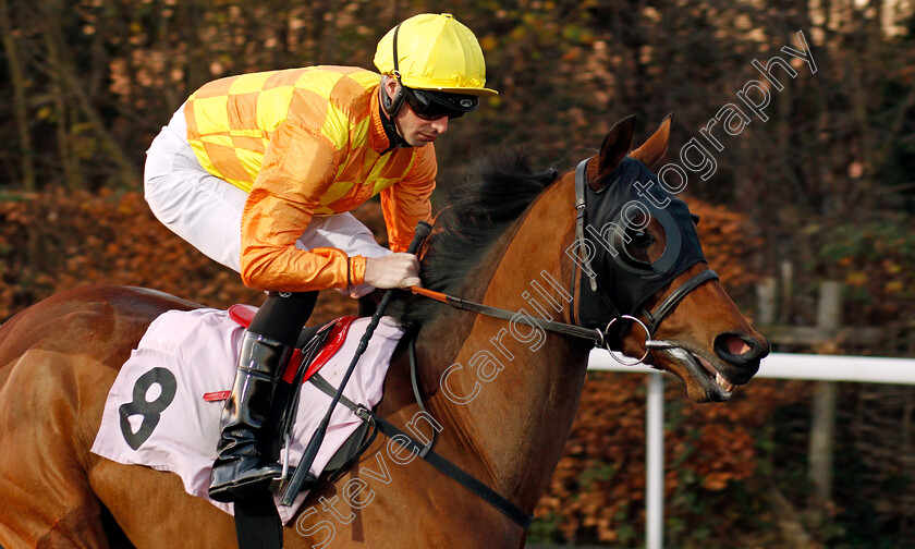 Geneva-Spur-0001 
 GENEVA SPUR (Jack Mitchell)
Kempton 4 Dec 2019 - Pic Steven Cargill / Racingfotos.com