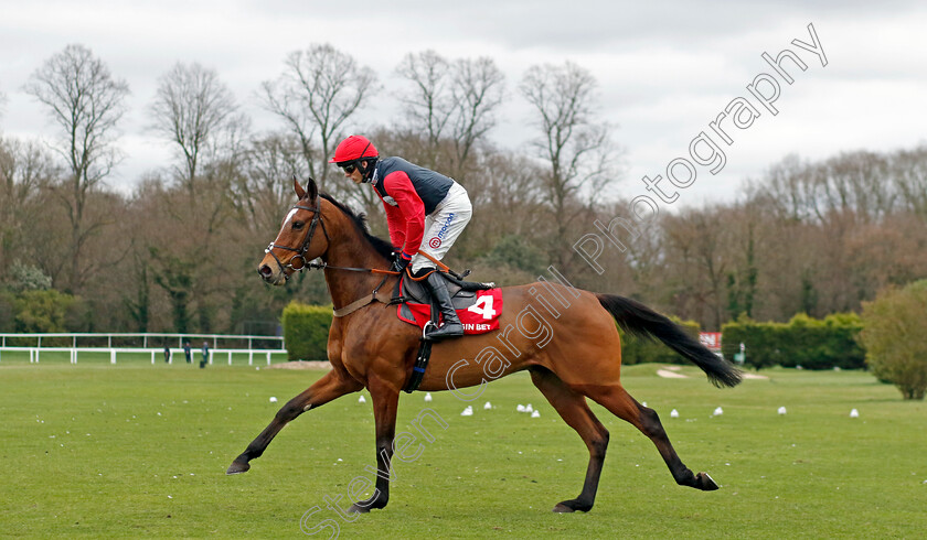 Onethreefivenotout-0001 
 ONETHREEFIVENOTOUT (Harry Cobden)
Sandown 3 Feb 2024 - Pic Steven Cargill / Racingfotos.com