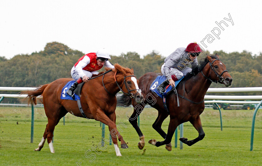 Msayyan-0004 
 MSAYYAN (Frankie Dettori) beats GHAZAN (left) in The Kier Construction EBF Maiden Stakes Nottingham 18 Oct 2017 - Pic Steven Cargill / Racingfotos.com