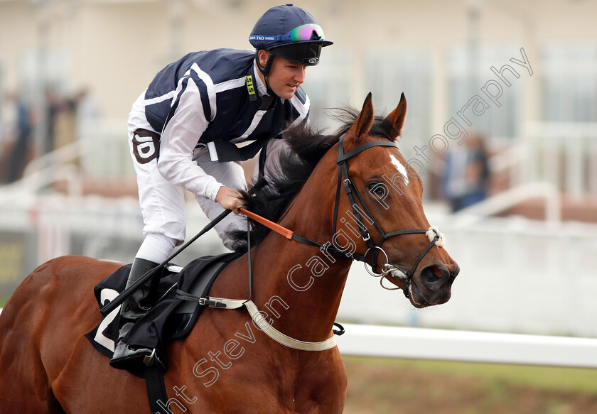 Cobweb-Catcher-0001 
 COBWEB CATCHER (Tom Queally)
Chelmsford 31 May 2018 - Pic Steven Cargill / Racingfotos.com