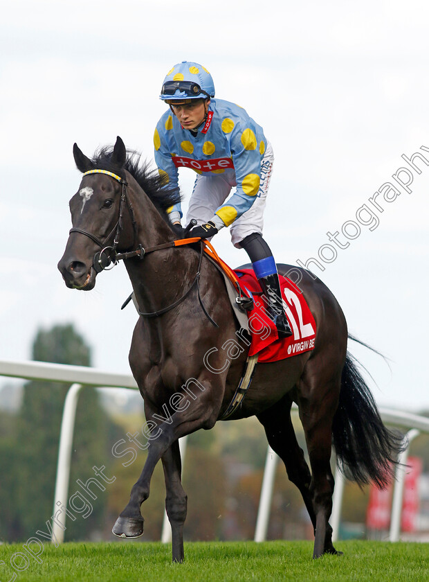 Dashing-Roger-0001 
 DASHING ROGER (Benoit de la Sayette)
Sandown 2 Sep 2023 - Pic Steven Cargill / Racingfotos.com