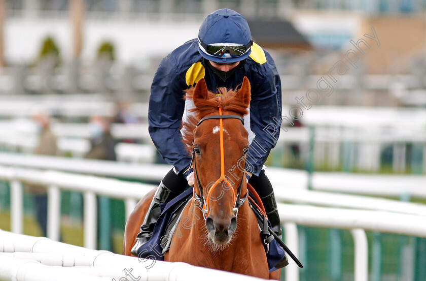 Soundslikethunder-0001 
 SOUNDSLIKETHUNDER (Rossa Ryan) winner of The Unibet Novice Stakes Div2
Doncaster 28 Mar 2021 - Pic Steven Cargill / Racingfotos.com