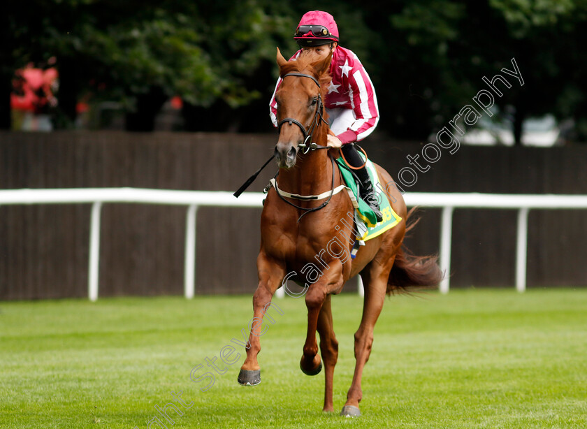 Aafoor-0001 
 AAFOOR (Szczepan Mazur)
Newmarket 13 Jul 2024 - Pic Steven Cargill / Racingfotos.com