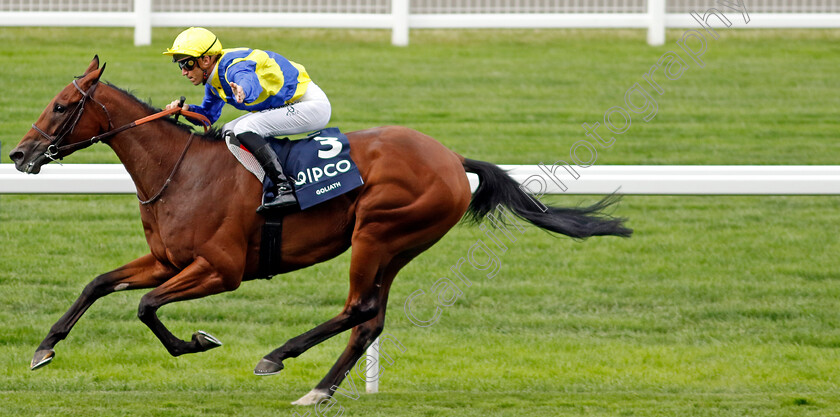 Goliath-0001 
 GOLIATH (Christophe Soumillon) wins The King George VI and Queen Elizabeth Stakes
Ascot 27 Jul 2024 - Pic Steven Cargill / Racingfotos.com