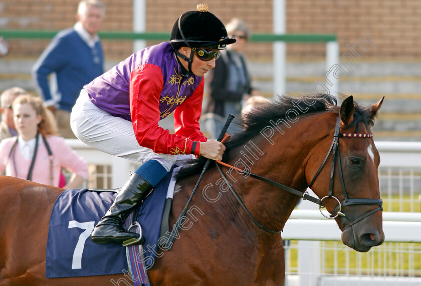 Humbolt-Current-0001 
 HUMBOLT CURRENT (William Buick) Yarmouth 16 Oct 2017 - Pic Steven Cargill / Racingfotos.com