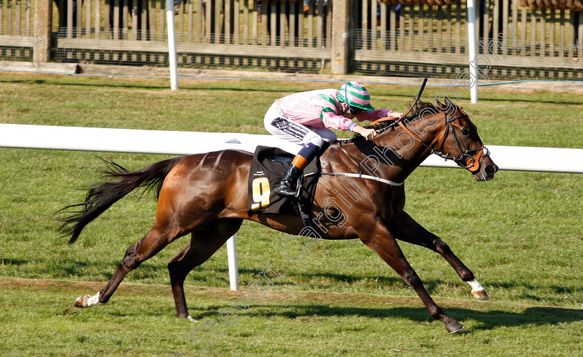 Midsummer-Knight-0003 
 MIDSUMMER KNIGHT (David Egan) wins The Saeed Suhail Saeed Handicap
Newmarket 12 Jul 2018 - Pic Steven Cargill / Racingfotos.com