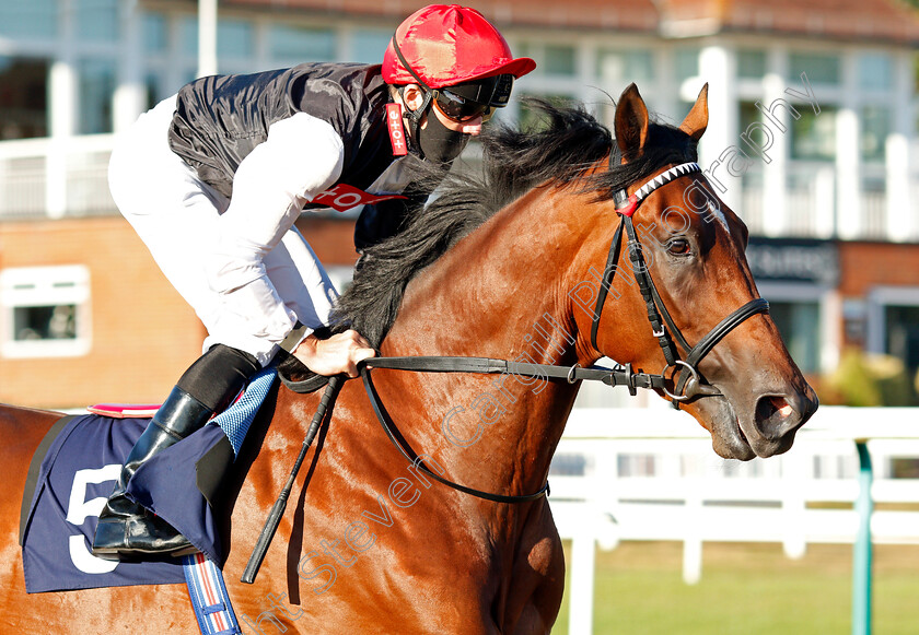 Golden-Rules-0002 
 GOLDEN RULES (Martin Harley)
Lingfield 4 Aug 2020 - Pic Steven Cargill / Racingfotos.com