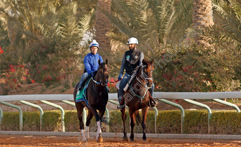 Midnight-Bisou-0001 
 MIDNIGHT BISOU preparing for the Saudi Cup
Riyadh Racecourse, Kingdom of Saudi Arabia 26 Feb 2020 - Pic Steven Cargill / Racingfotos.com