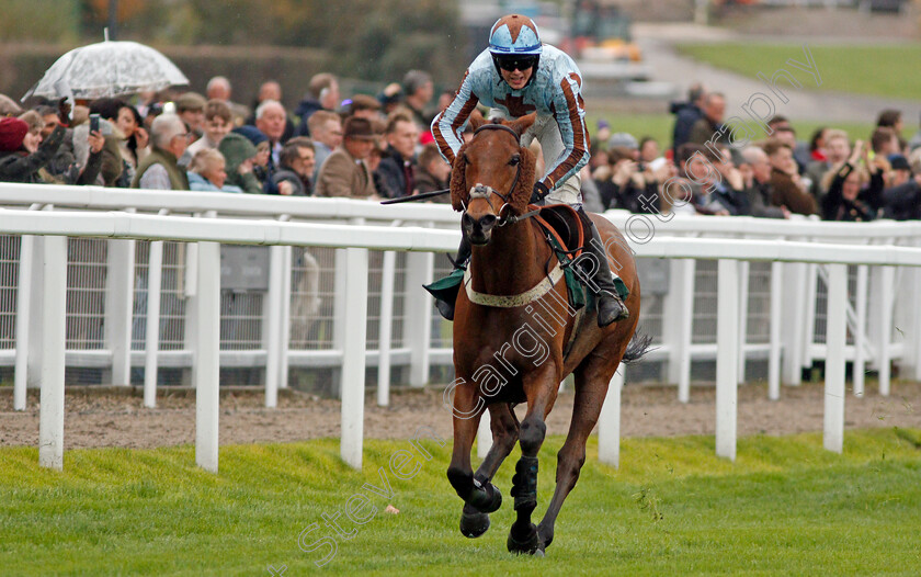 Duke-Street-0006 
 DUKE STREET (Cillin Leonard) wins The Two Farmers Crisps Handicap Hurdle
Cheltenham 25 Oct 2019 - Pic Steven Cargill / Racingfotos.com