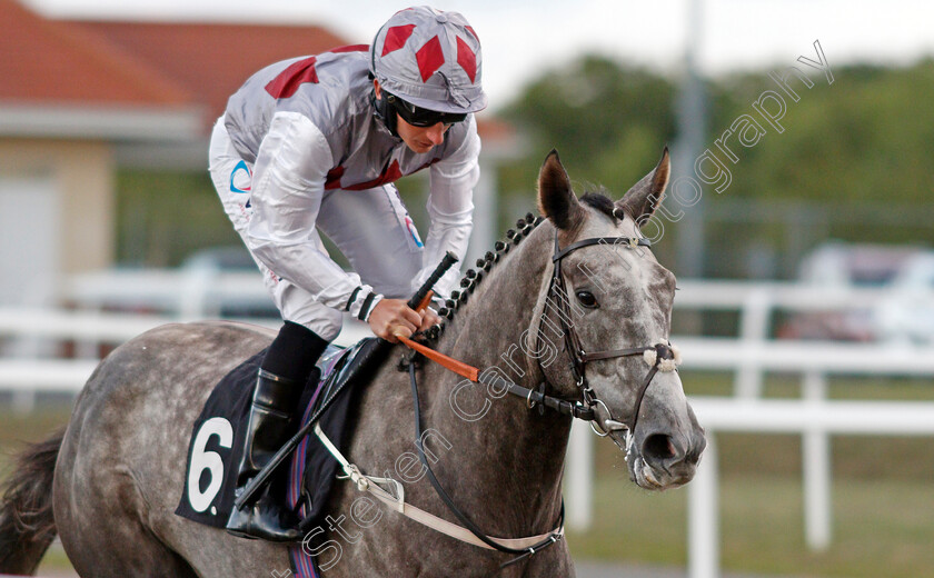 The-Trader-0001 
 THE TRADER (P J McDonald)
Chelmsford 4 Sep 2019 - Pic Steven Cargill / Racingfotos.com