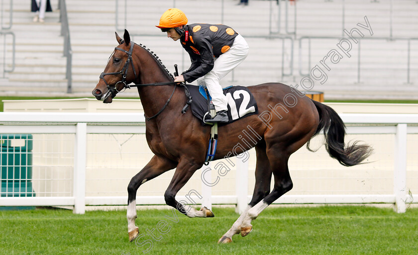 Popov-0001 
 POPOV (Lewis Edmunds)
Ascot 6 Sep 2024 - Pic Steven Cargill / Racingfotos.com